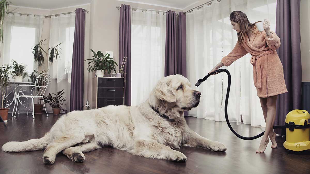 Best Vacuum Cleaners for Dog or Cat’s Pet Hair